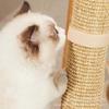 Gatos – Acessórios educativos para gatos