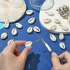 Airssory 100 Pcs Ocean Life Charms Natural Cowrie Shell Charms for Earring Bracelet Necklace Jewelry DIY Craft Making