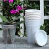 Water Storage Flower Pot Green Plant Pot Butterfly Orchid Breathable Root Control Pot Self Absorbing Transparent Lazy Planters