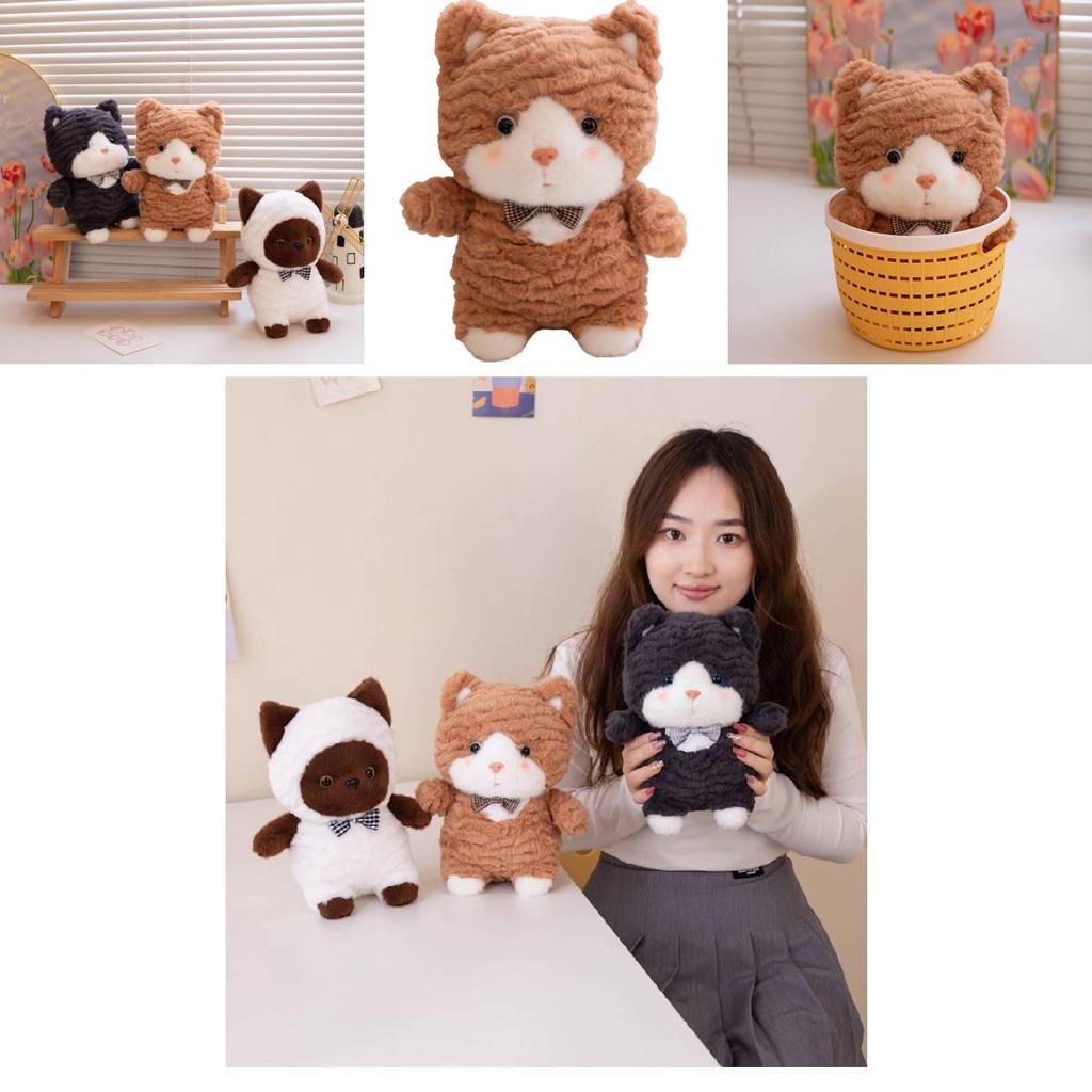 Entzückendes 8-Zoll- und 9-Zoll-Plüschkatzenspielzeug, perfekt für Hochzeiten und als Geschenk