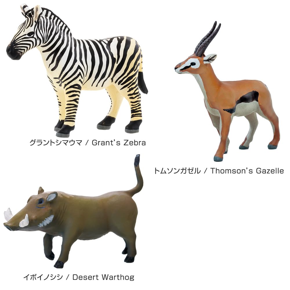 Calorata Animal Geography Zone 1 3D Encyclopedia Ethiopian Animals with Realistic Figures Birthday Gift Sanitation Law Animal Toy Figure Gift (12 /