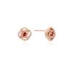 [Exclusive Package][Rosemont] Silver Earrings (January Birthstone) Rc0353