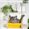 Natural Wooden Small Pet Swing Hammock Chew Proof Hanging Bed Toy For Chinchilla Cage Exercise Entertainment Activity