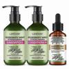 Stärkendes Haarpflege-Set mit Rosmarin-Minze und Biotin für gesünderes, glatteres Haar - Enthält Shampoo, Spülung und ätherische Öl-Mischung