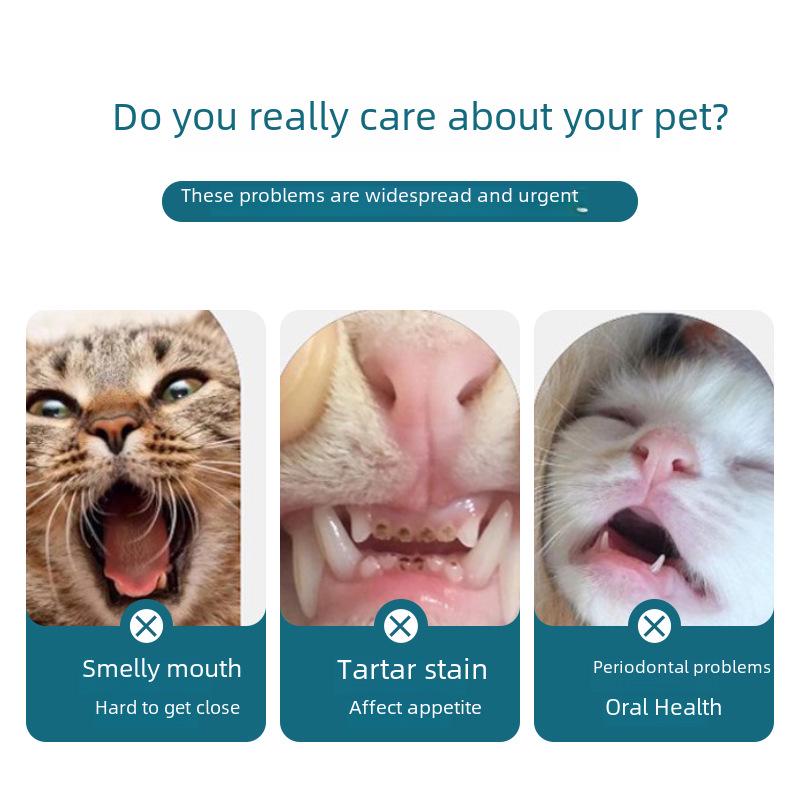 Round Head Pet Toothbrush with Soft Bristles for Cats and Dogs