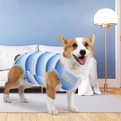 Hundewentilationsanzug Streifenmuster Wundheilung Elastisch Haustier-Chirurgie-Erholungsanzug Haustierbedarf