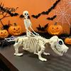 Accesorii de petrecere – Accesorii de Halloween