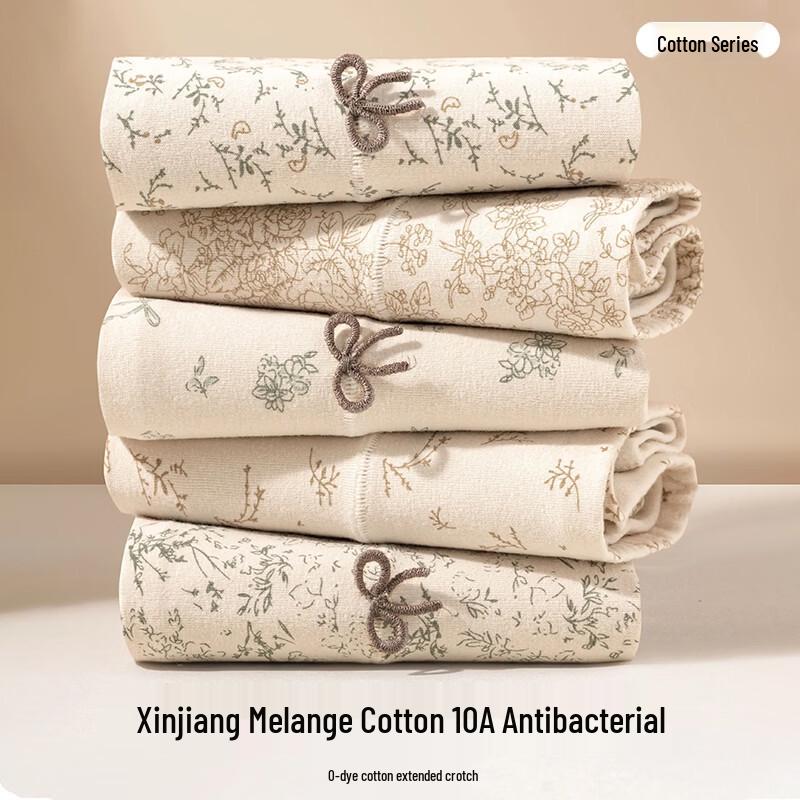 FitonTon Women's Cotton Antibacterial Boxer Briefs 3-Pack