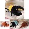 Cute And Creative Plush Insect Doll For Kids And Adults Customizable