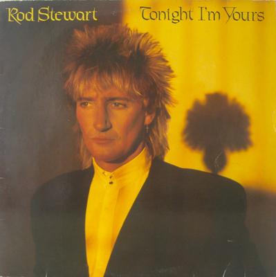 LP Record ROD STEWART - Tonight I'm Yours WB56951 Warner Bros. Re 1981 Europe Rock Used