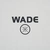 Li Ning Wade Collection Polo Shirt Men's APLW141-2