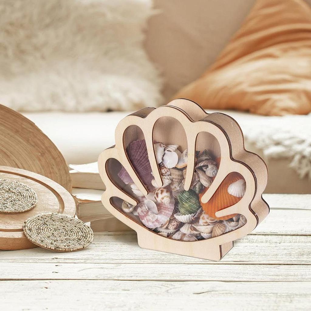 Seashell Display Box Wooden Seashell Organizer Elegant Jewelry Organizer Trinket Storage Shelf Decor For Small Starfish Rings