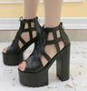 Fashion 15CM Summer Ankle Strap Sandal Shoes for Women High Heels Sandals Platform Back Zipper Sandals Fashion Party Model Show Pumps