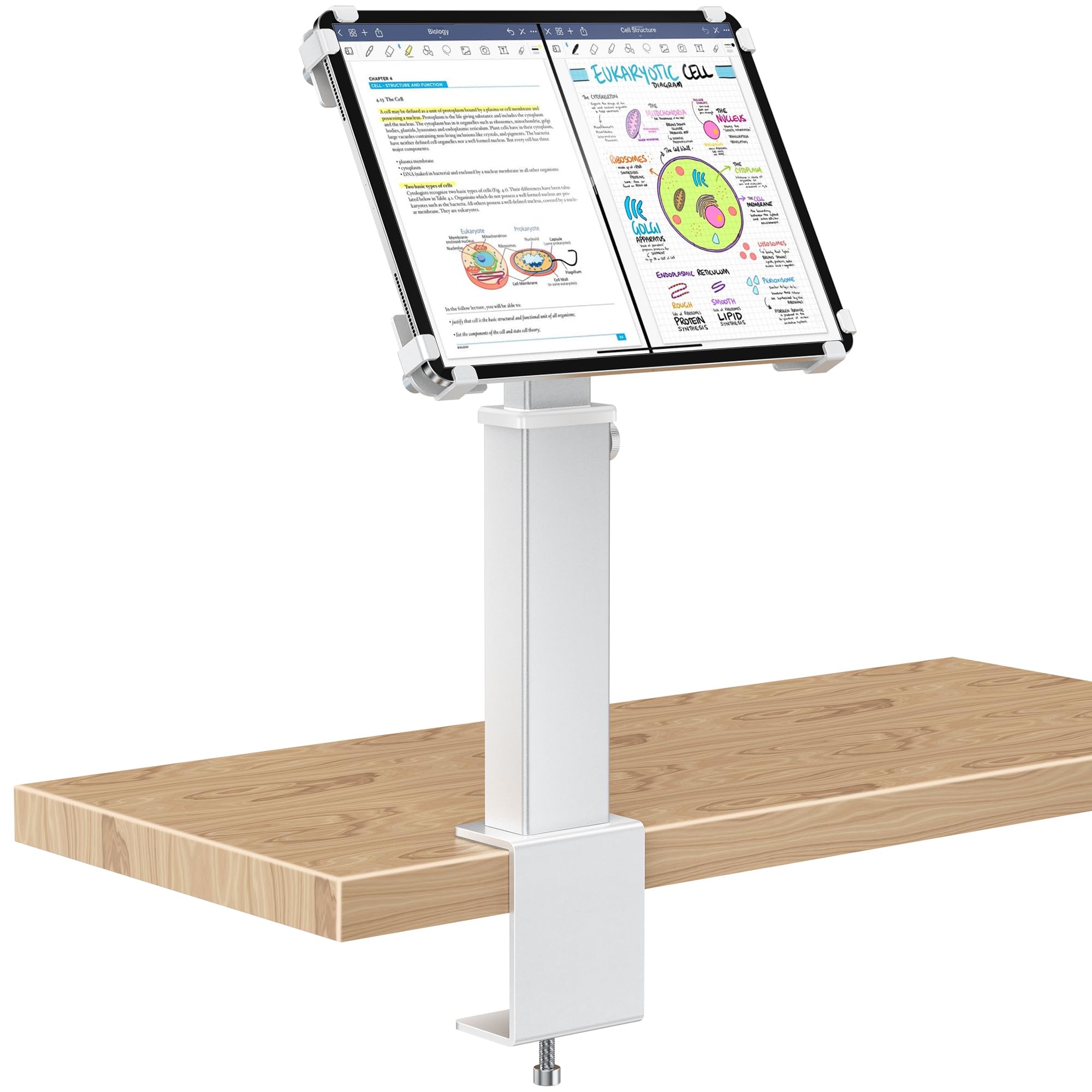 

Rotation Kiosk Stand Silver AboveTEK Retail Industrial Compatible with inch iPad Tablets AirRegister Anti-Theft 360-Degree Clamp-On