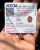 LABORZERTIFIZIERT 12 Mukhi RUDRAKSHA Rudraksh 12 Zwölfgesichtigtes Rudraksham 1 Stück Yoga Gebet Heilung Meditation, Kleine Größe Kostenloser Versand