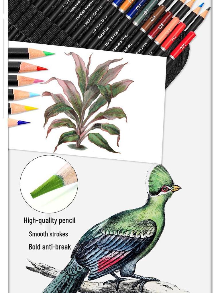 96-Piece Professional Sketch & Drawing Colored Pencil Set for Fine Art Supplies