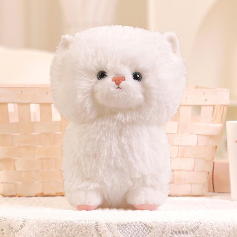 

Cute Ragdoll Cat Cartoon Plush Toy Pillow Bedroom Decor Children Giving Gift