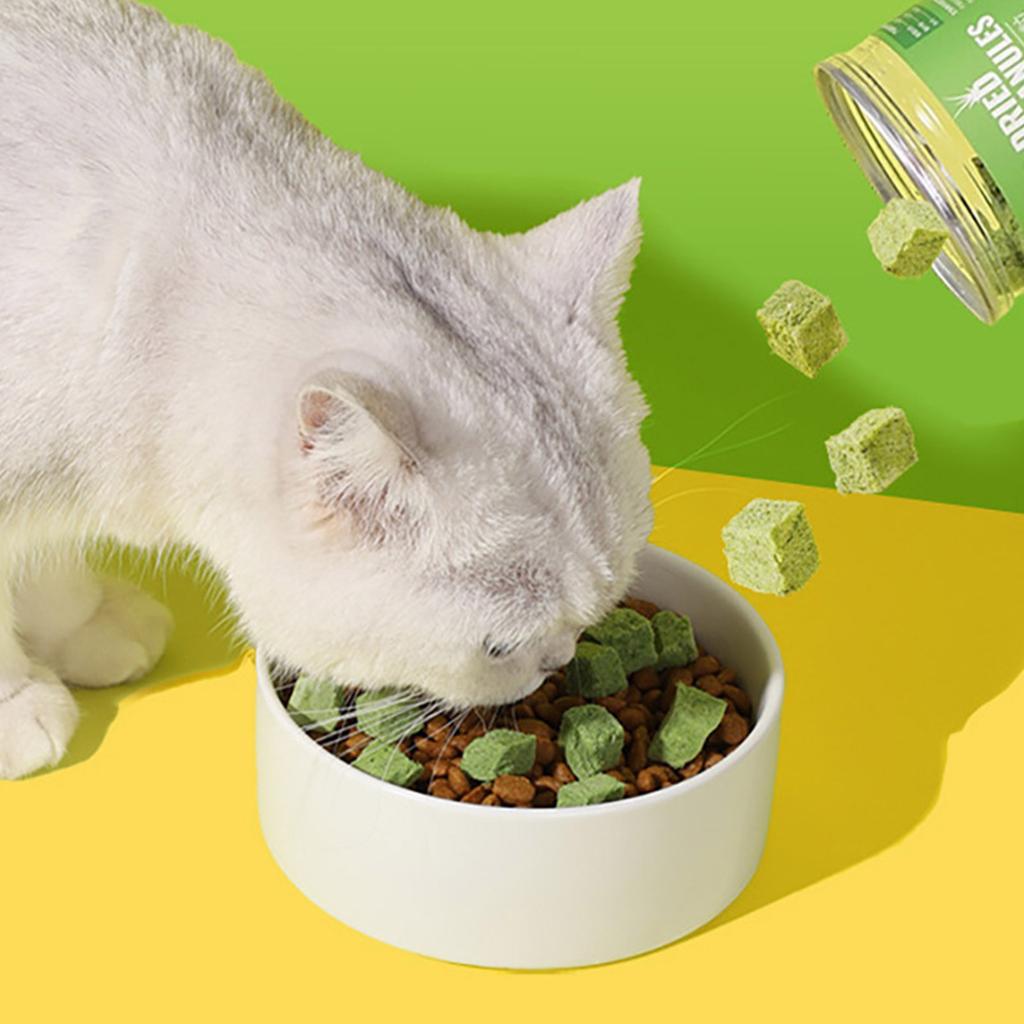 Natural Cat Grass Snack for Cats Dental Healthy Cat Care Chewing Licking Snack Cat Hairball Control Freeze Dried Snack