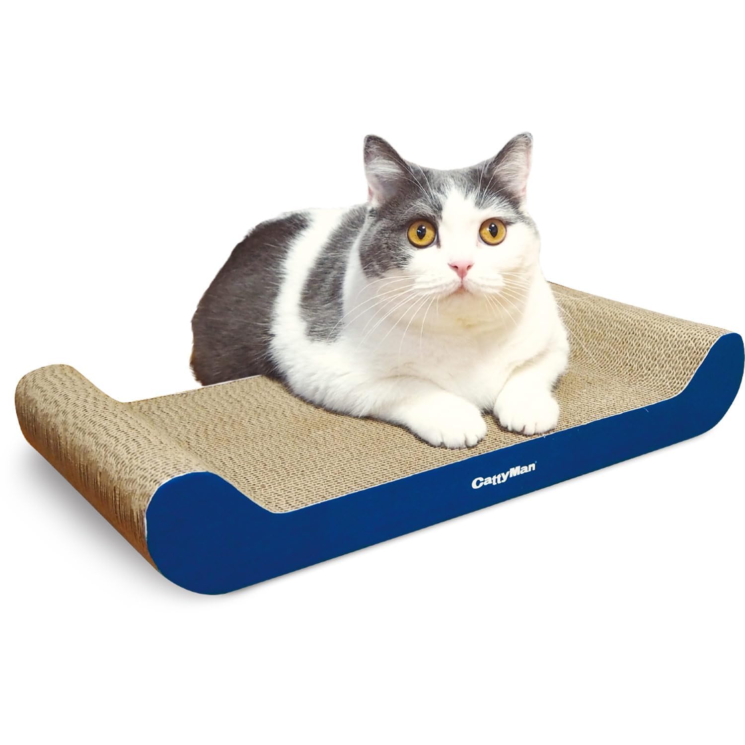 

cattyman irotogi cat лак для ногтей этап
