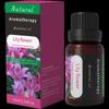 Grenzüberschreitender Aroma-Diffusor für ätherische Öle für Massage & Aromatherapie