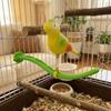 Plastic Swing Perch Toy Simulation Bird Parrot Play Rack Bird Perch Stand  for Bird Cage Aviary