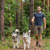 Durability Detachable Dog Leashes with Safety Ergonomic Handle and Reflective for Enduring Performances