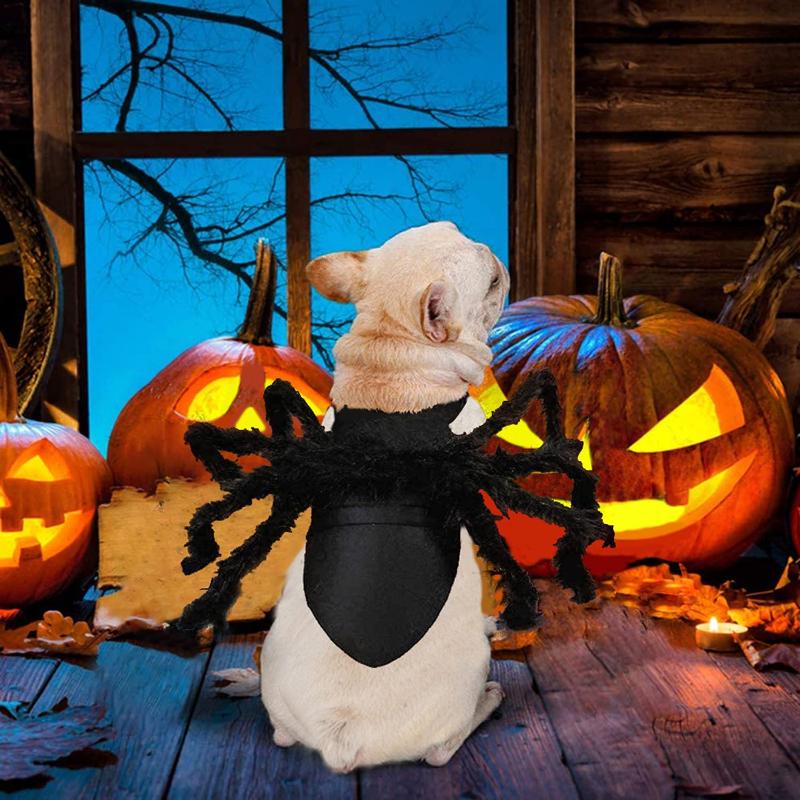 Pet Dog And Cat Costume Halloween Spider Transformation Outfit Pet Costume Pet Cat Dog Funny Cosplay Dress Up Clothes Costume