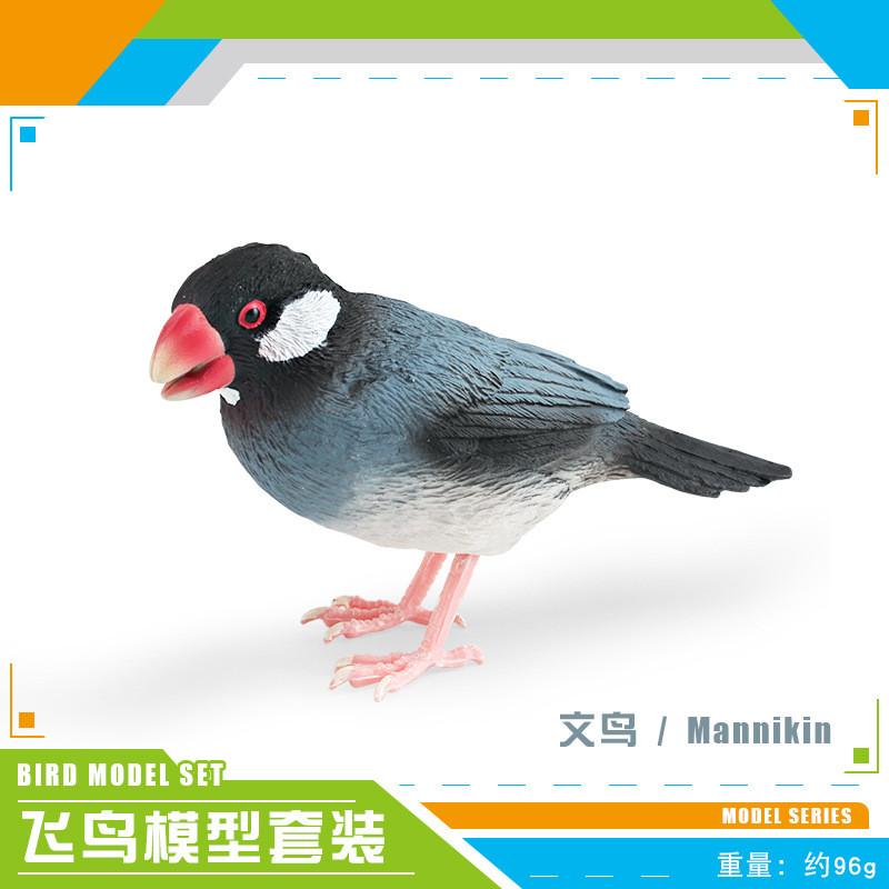 Realistisches dekoratives Tiermodell-Set mit farbenfroher Ente, Spatz, Fink und Meise zur Ausstellung zu Hause und im Büro