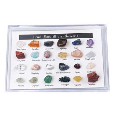 24 Stück Mineralien Edelstein Set Pädagogisches Geologie Edelstein Set Edelsteine Set Kinder Gesteinssammlung Geschenke