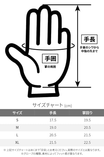 Daytona Motorcycle Gloves, Summer, Winter, Autumn, Spring, Leather (Cowhide), Made in Japan, Smartphone Compatible, Reinforced Pads, Externally Stitch