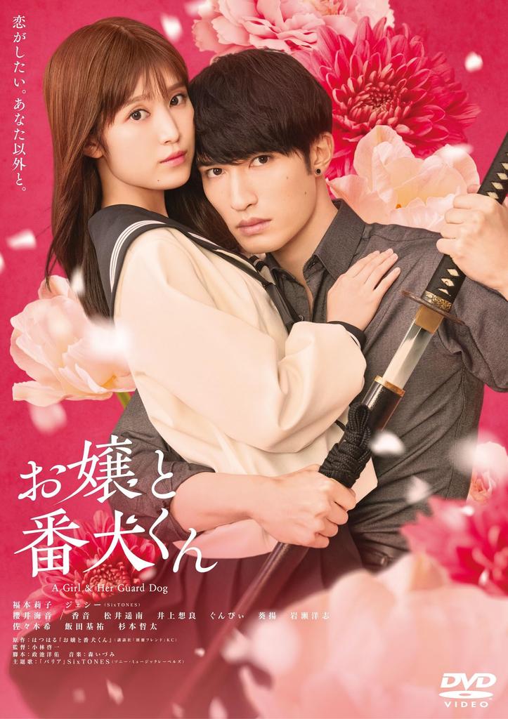 The Lady and the Watchdog Standard (DVD Edition)