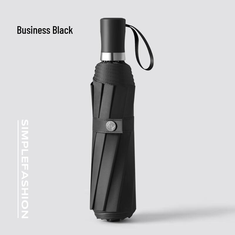 Cadeno Automatic 10-Rib Business Umbrella