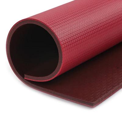 Enlio Professional Table Tennis Floor Mat 5.5mm