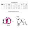Dog Leash Vest: H-Type Chest Harness for Small To Large Dogs - Outdoor Walking Gear