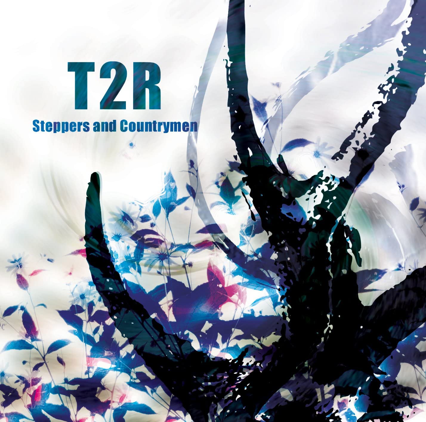 

CD T2R - STEPPERS AND COUNTRYMEN STAD002 Japan ObiMusic Others Used