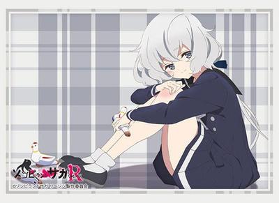 Verzamelen en modelbouw – Ruilkaarten en accessoires