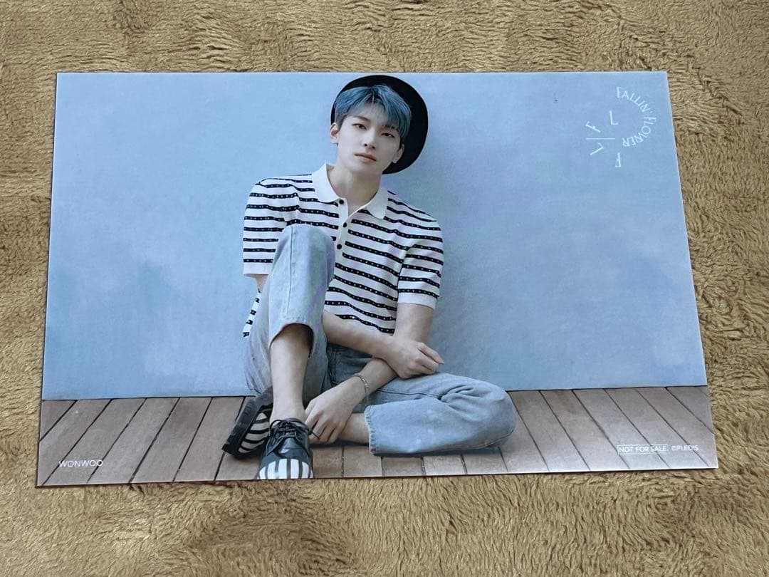 [USED] SEVENTEEN (Seventeen) Maika Tower Records Bonus Clear Postcard Wonwoo