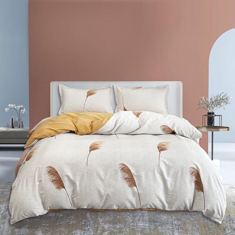 Xuanyu Autumn Feather Minimalist 4-Piece Bedding Set