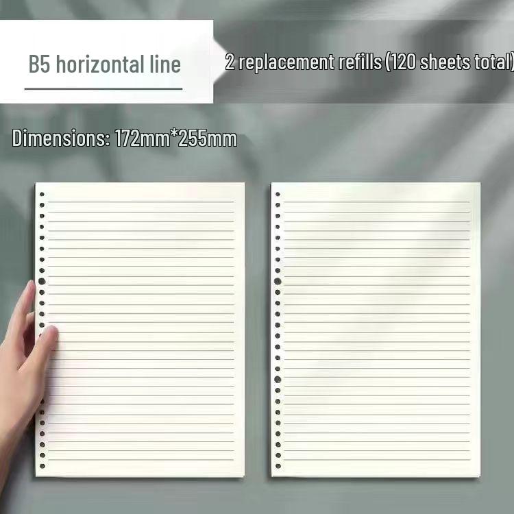 

B5 Блокнот на съемной спирали - Высокоэстетичный в стиле Ins A5 Small Ruled 60 Sheets Each 20 Holes