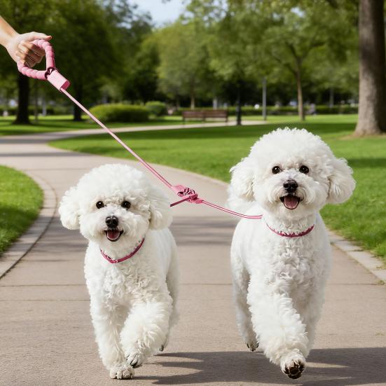 Double-ended P Chain Dog Leash Non-Slip Handle High-Density Nylon Braided Rope Adjustable Length Y-Shaped Pet Leash