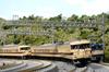 KATO N Gauge 117 Series New Rapid 6-Car Set 10-1607 Railway Model Train