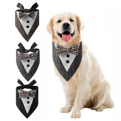 Giyim ve ayakkabı – Köpek Aksesuarları