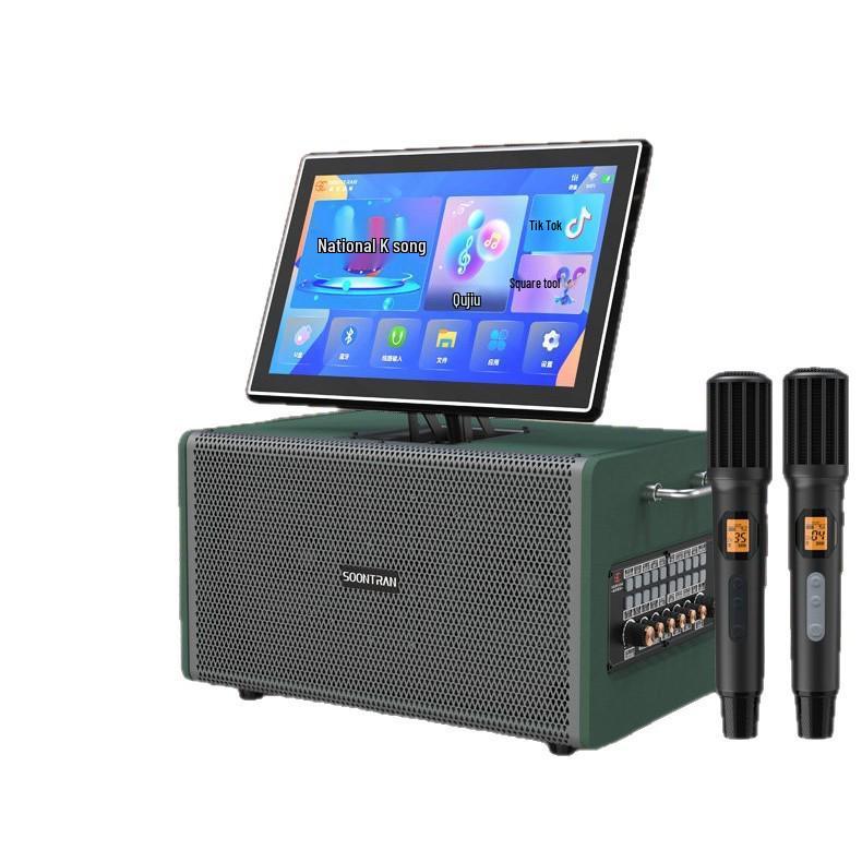 SS1-206 Portable Outdoor Karaoke Speaker: High-Power All-in-One Singing Machine
