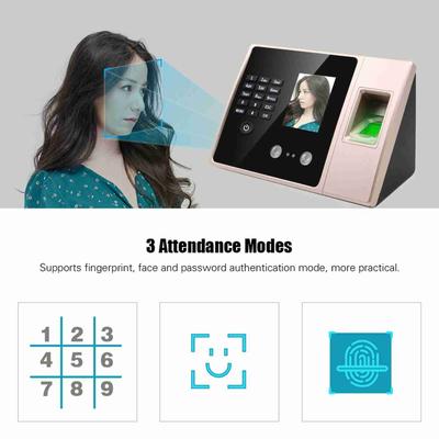 Zugangskontroll- & Alarmsysteme – Fingerabdruck-Zugangssysteme