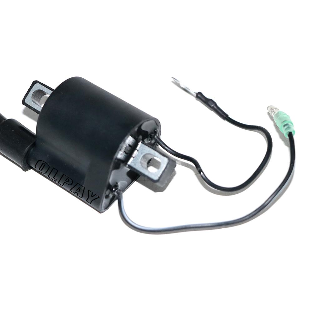 6E0-85570 Zündspule Mit Kappe Für Yamaha Bootsmotor 2 Hub 4HP 5HP Parsun Powertec SEAPRO etc 5HP 6E0-85570-00;6E0-85570-10