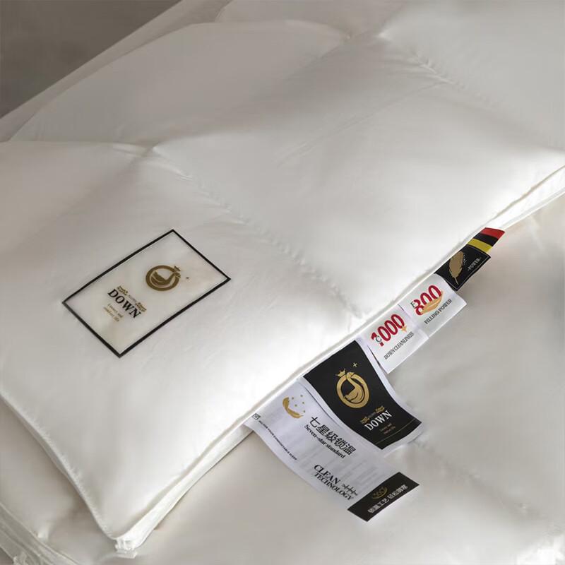 Hetang Impression All-Season Goose Feather & Down Blend Quilt