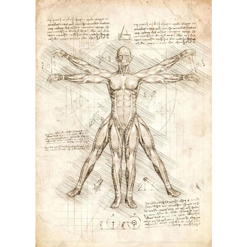 Retro Kunst Von Da Vinci Inspirierte Skizzen Poster Gitarre Vitruvianischer Mann Taschenuhr Spielekonsole Leinwandmalerei Bilder Heimdekor