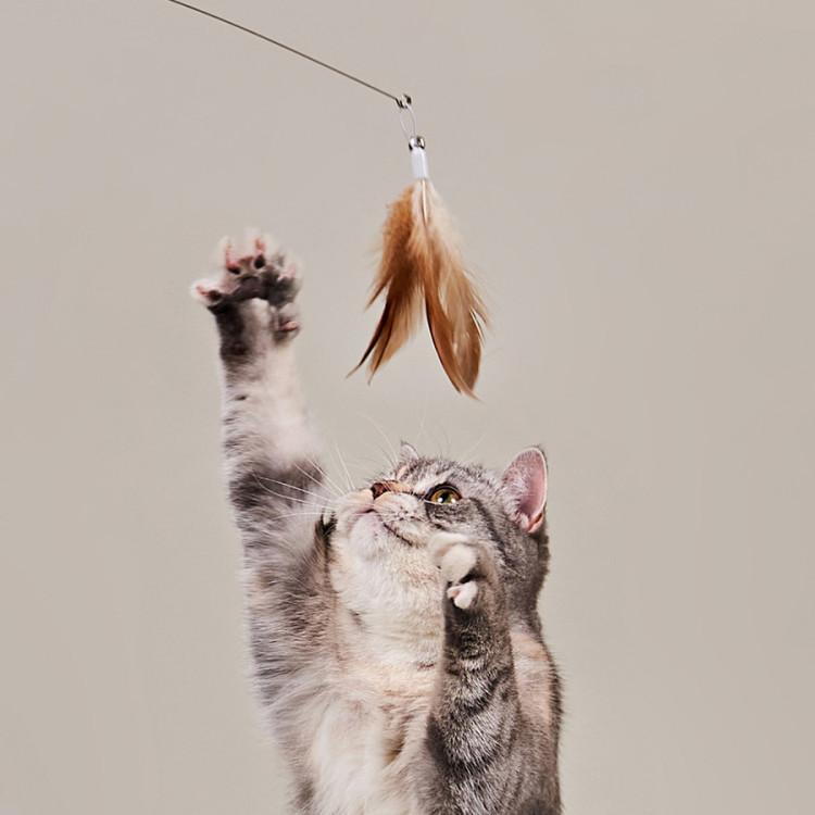 Teaser Toy Cat Fishing Rod Toy Refill Feather Replacement Bait