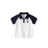 Summer Children's Clothing Boys' Collared Short-Sleeve T-Shirt Boys' Raglan Sleeve Polo Shirt Children's Half-Sleeve Bear Top Thin Style