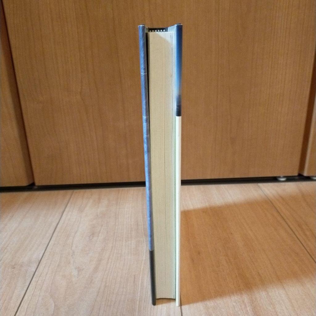 [USED] Beyond the Mountain